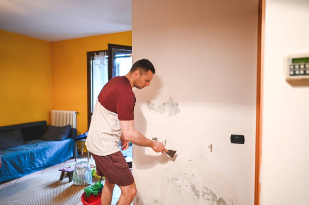 Best Affordable Mold Removal  in Wills Point, TX